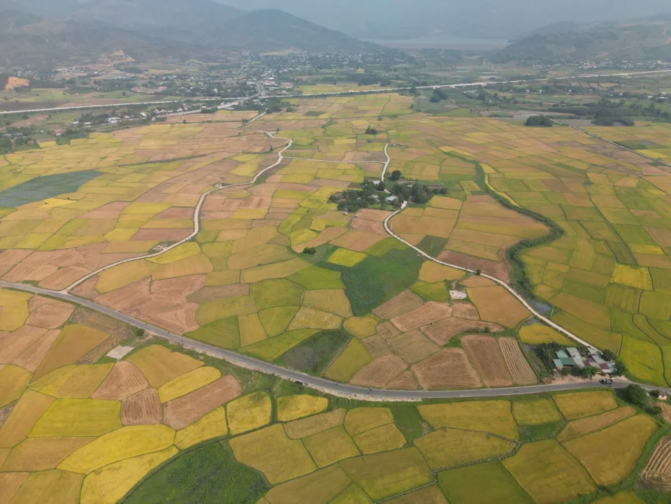 Cân và đóng bao